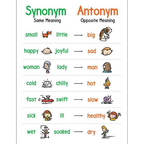 junior antonyms|14 Synonyms & Antonyms for JUNIOR .
